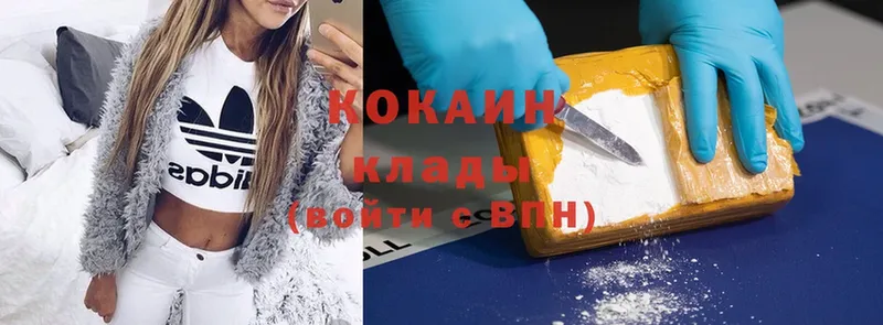 Cocaine Fish Scale  купить закладку  Липки 